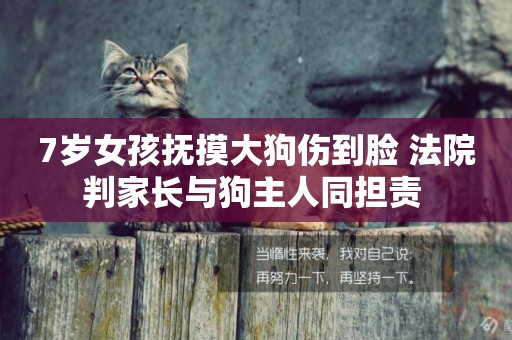 7歲女孩撫摸大狗傷到臉 法院判家長與狗主人同擔責 