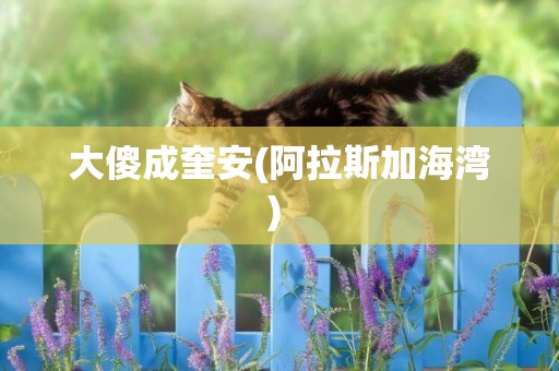 大傻成奎安(阿拉斯加海灣) 