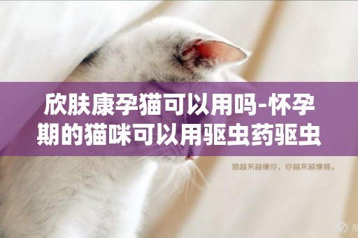 欣膚康孕貓可以用嗎-懷孕期的貓咪可以用驅蟲藥驅蟲嗎？