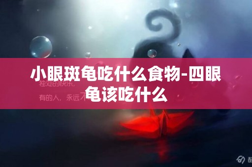 小眼斑龜吃什么食物-四眼龜該吃什么