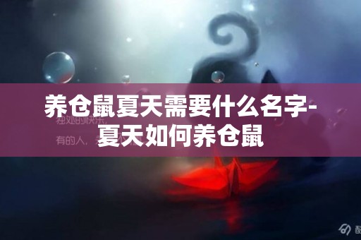 養倉鼠夏天需要什么名字-夏天如何養倉鼠