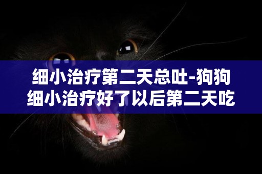 細小治療第二天總吐-狗狗細小治療好了以后第二天吃了東西又吐怎么辦