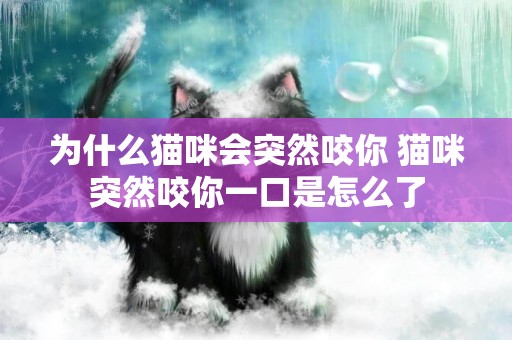為什么貓咪會突然咬你 貓咪突然咬你一口是怎么了