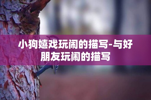 小狗嬉戲玩鬧的描寫-與好朋友玩鬧的描寫