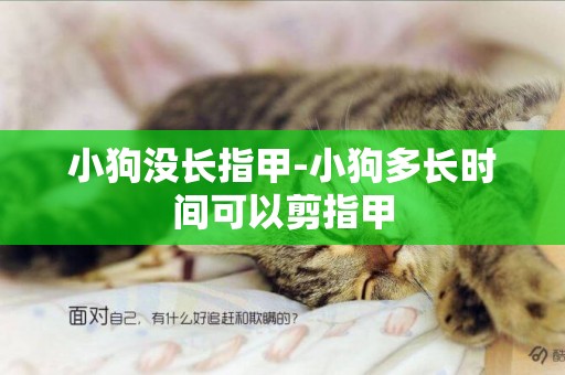 小狗沒長指甲-小狗多長時間可以剪指甲