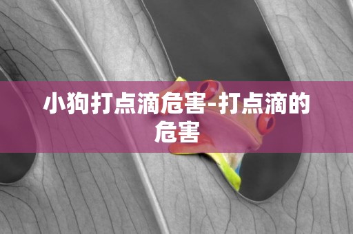 小狗打點滴危害-打點滴的危害