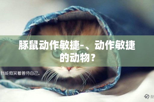 豚鼠動作敏捷-、動作敏捷的動物？