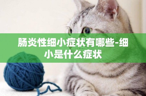 腸炎性細小癥狀有哪些-細小是什么癥狀