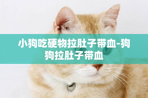 小狗吃硬物拉肚子帶血-狗狗拉肚子帶血