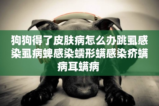 狗狗得了皮膚病怎么辦跳虱感染虱病蜱感染蠕形螨感染疥螨病耳螨病 