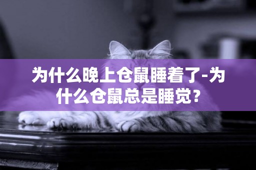 為什么晚上倉鼠睡著了-為什么倉鼠總是睡覺？