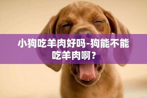小狗吃羊肉好嗎-狗能不能吃羊肉啊？
