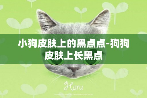 小狗皮膚上的黑點點-狗狗皮膚上長黑點