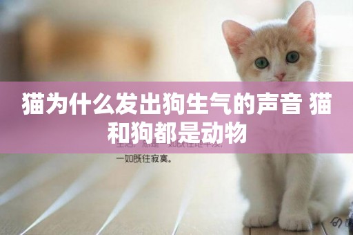 貓為什么發出狗生氣的聲音 貓和狗都是動物