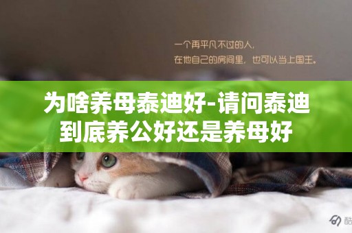 為啥養母泰迪好-請問泰迪到底養公好還是養母好