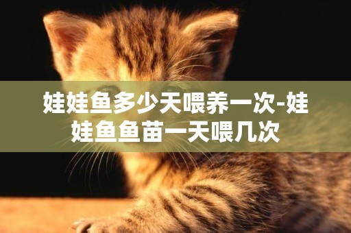 娃娃魚多少天喂養一次-娃娃魚魚苗一天喂幾次