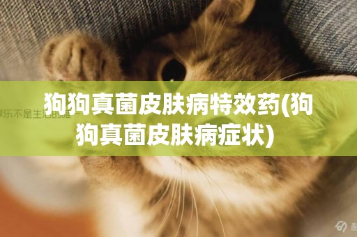 狗狗真菌皮膚病特效藥(狗狗真菌皮膚病癥狀) 