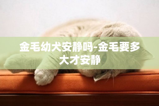 金毛幼犬安靜嗎-金毛要多大才安靜
