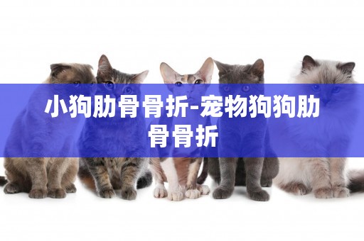 小狗肋骨骨折-寵物狗狗肋骨骨折