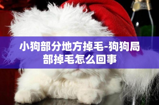 小狗部分地方掉毛-狗狗局部掉毛怎么回事