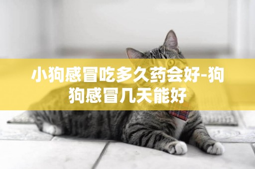小狗感冒吃多久藥會好-狗狗感冒幾天能好
