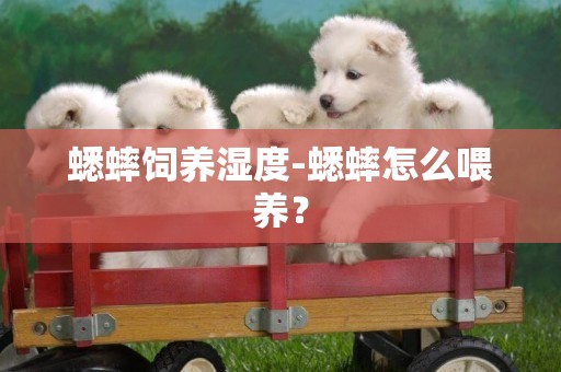 蟋蟀飼養濕度-蟋蟀怎么喂養？