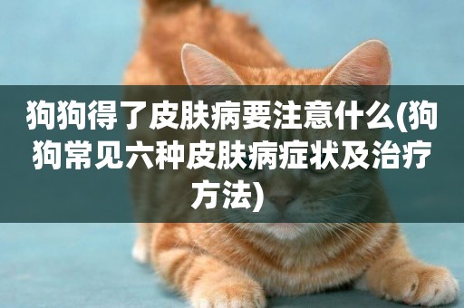 狗狗得了皮膚病要注意什么(狗狗常見六種皮膚病癥狀及治療方法) 