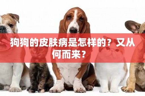 狗狗的皮膚病是怎樣的？又從何而來？ 