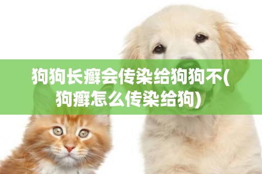 狗狗長癬會傳染給狗狗不(狗癬怎么傳染給狗) 