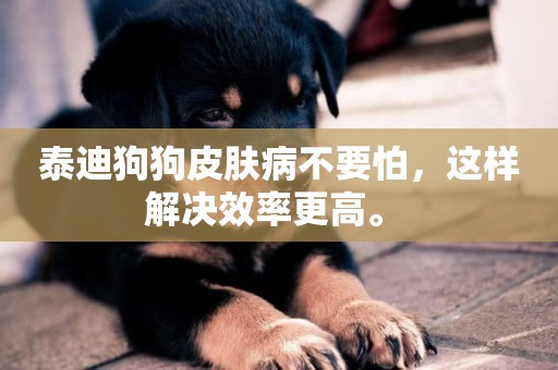 泰迪狗狗皮膚病不要怕，這樣解決效率更高。 
