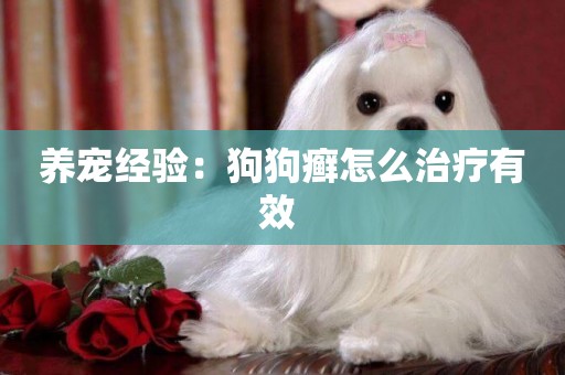 養寵經驗：狗狗癬怎么治療有效 
