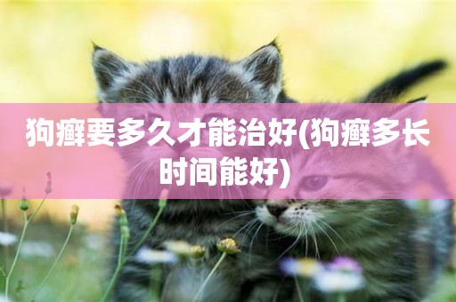 狗癬要多久才能治好(狗癬多長時間能好) 