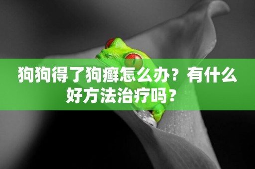 狗狗得了狗癬怎么辦？有什么好方法治療嗎？ 