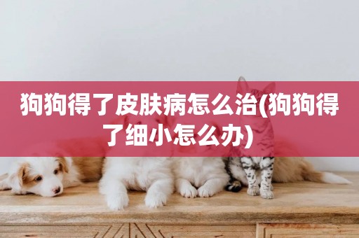 狗狗得了皮膚病怎么治(狗狗得了細小怎么辦) 
