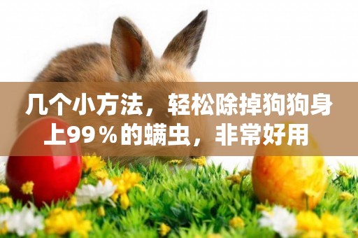幾個小方法，輕松除掉狗狗身上99％的螨蟲，非常好用 