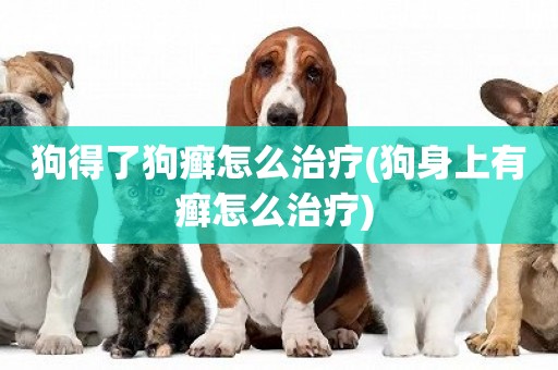 狗得了狗癬怎么治療(狗身上有癬怎么治療) 