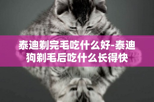 泰迪剃完毛吃什么好-泰迪狗剃毛后吃什么長得快