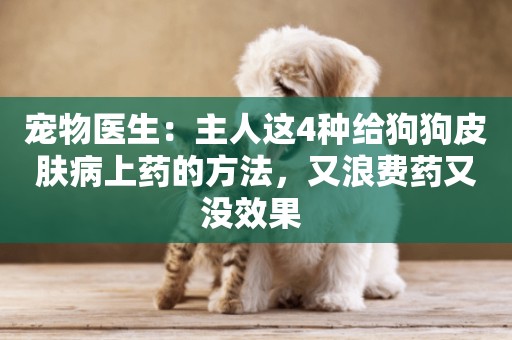 寵物醫生：主人這4種給狗狗皮膚病上藥的方法，又浪費藥又沒效果 