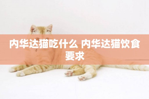 內華達貓吃什么 內華達貓飲食要求