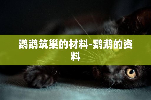 鸚鵡筑巢的材料-鸚鵡的資料