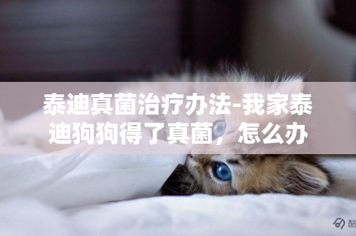 泰迪真菌治療辦法-我家泰迪狗狗得了真菌，怎么辦