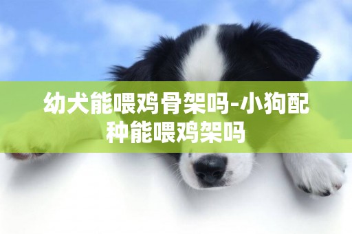 幼犬能喂雞骨架嗎-小狗配種能喂雞架嗎