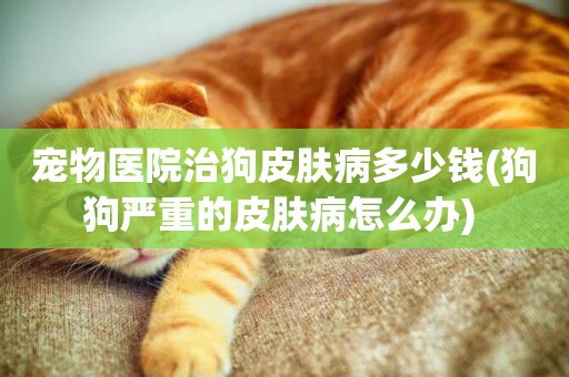 寵物醫院治狗皮膚病多少錢(狗狗嚴重的皮膚病怎么辦) 