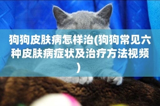 狗狗皮膚病怎樣治(狗狗常見六種皮膚病癥狀及治療方法視頻) 