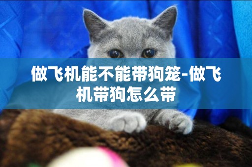 做飛機能不能帶狗籠-做飛機帶狗怎么帶