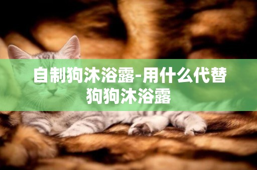 自制狗沐浴露-用什么代替狗狗沐浴露
