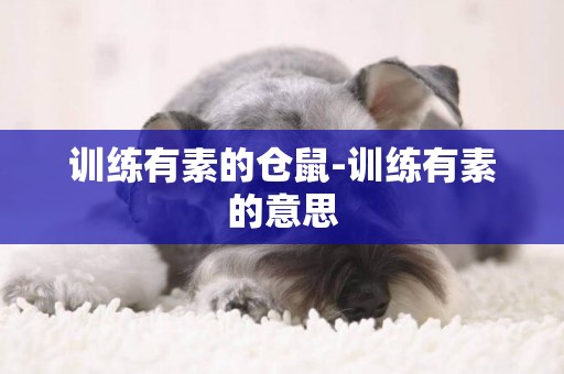 訓練有素的倉鼠-訓練有素的意思