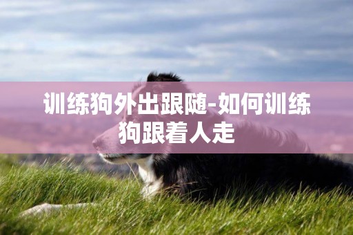 訓練狗外出跟隨-如何訓練狗跟著人走