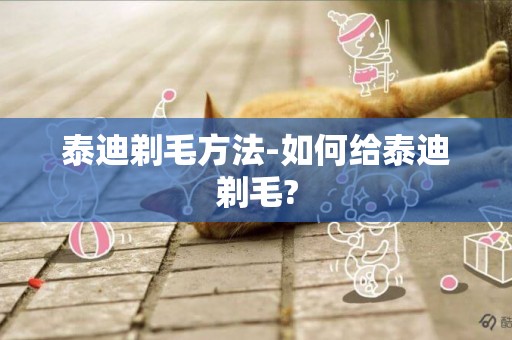 泰迪剃毛方法-如何給泰迪剃毛?