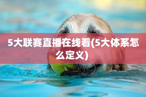 5大聯賽直播在線看(5大體系怎么定義) 